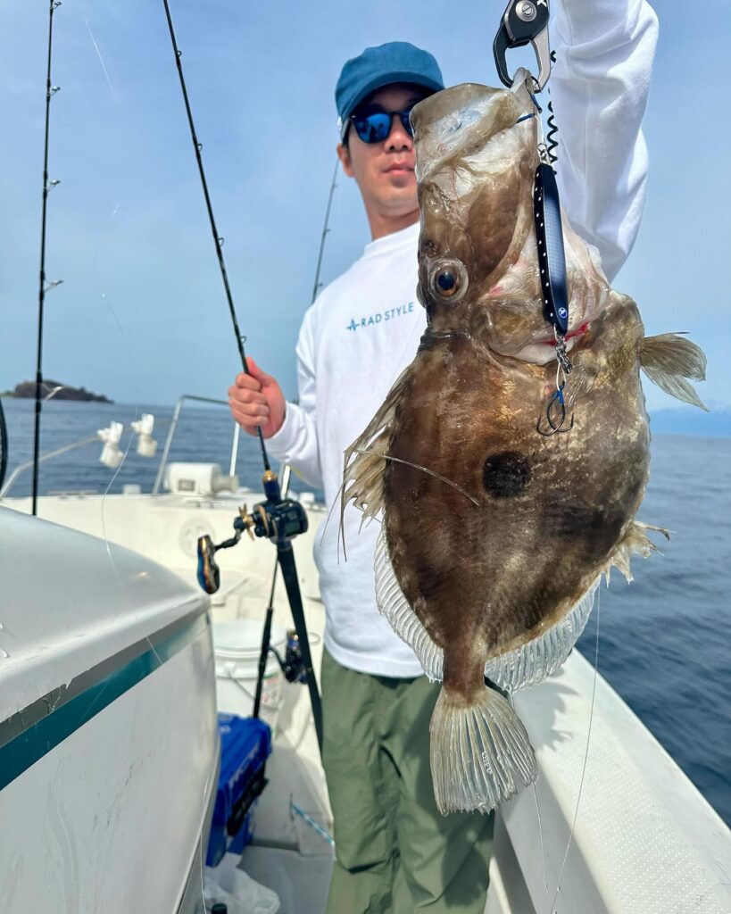 飛島ジギング便