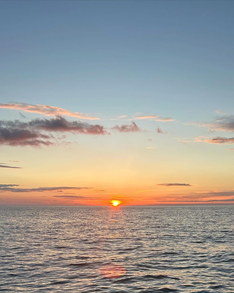 酒田遊漁船 RDR 夕まずめ便