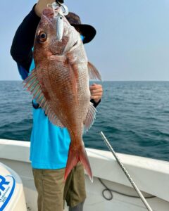 タイラバ・タイジグ便